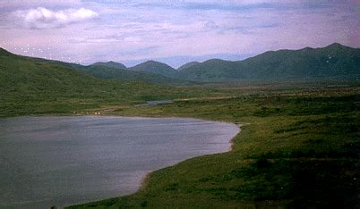 Karluk River, Kodiak Island, Alaska