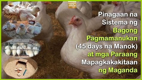 Pinagaan Na Sistema Ng Bagong Pagmamanukan At Mga Paraang