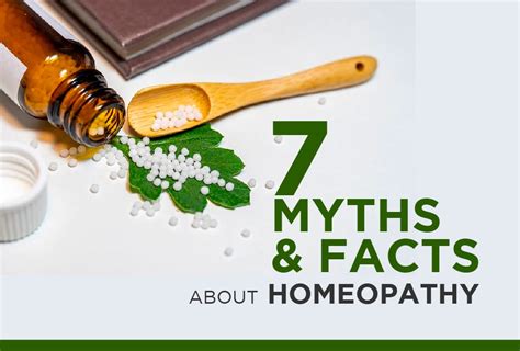 The Future Of Homeopathy Embracing A Holistic Approach To Healthcare