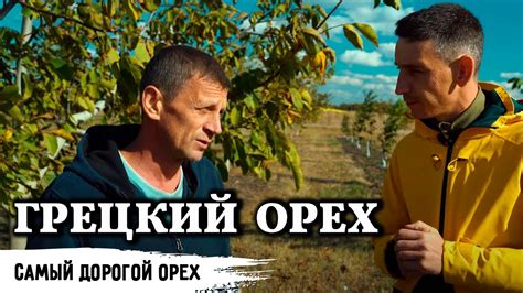 Сад грецкого ореха // Часть 1 - YouTube
