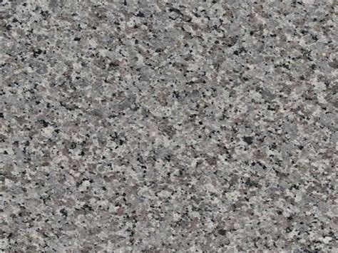 Super Grey Granite Suppliers Factory Buen Precio Stone Forest