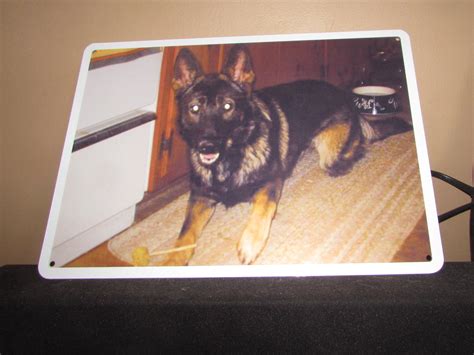 Creating Lasting Memories of Loved Ones with SmartSign - Product Review