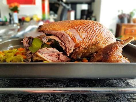 Roast Wild Duck Recipe Cuisine Fiend