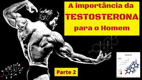 A Importância da TESTOSTERONA para o Homem parte 2 YouTube