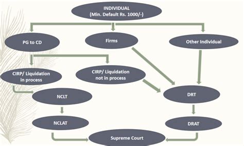 Overview Of Personal Guarantors Provisions Under Ibc