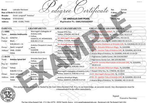 What Is Dog Pedigree Certificate