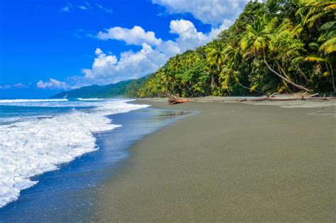 How To Get To Corcovado National Park - Horizon Guides