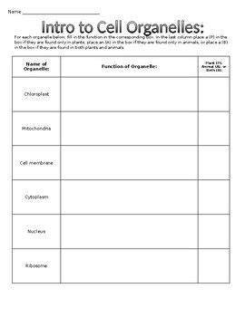 Introduction To Cell Organelles Worksheet Worksheets Library