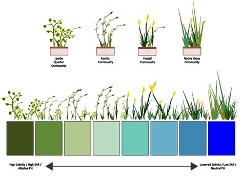 More is More: Utilizing Ecological Diversity