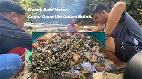 Masak Babi Hutan Campur Daun Ubi Dayak Borneo Style YouTube