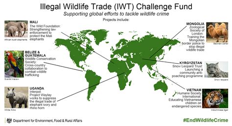 Illegal Wildlife Trading