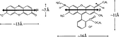 The molecular structure and approximate dimensions of rhodamine 6G and ...