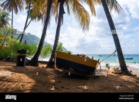 Boat On The Sandy Beach Under The Palm Trees Stock Photo Alamy