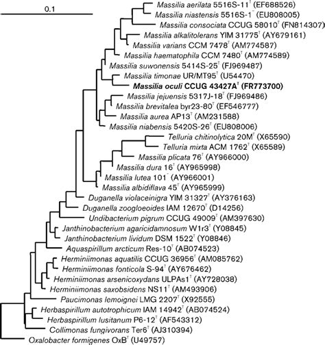 Phylogenetic Analysis Based On 16s Rrna Gene Sequences Showing The