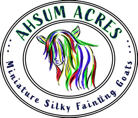 Herd Sires | Ahsum Acres Miniature Silky Fainting Goats