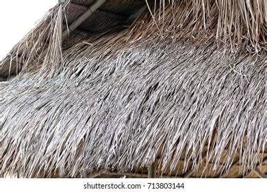 Coconut Frond Roof Bamboo Huts Traditional Stock Photo 2360266139 | Shutterstock