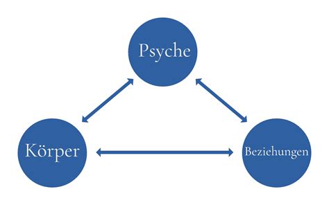 Bio Psycho Soziales Modell MSBB Institut