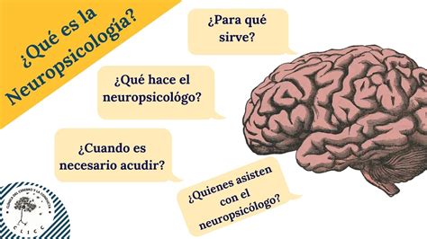 ¿sabes QuÉ Es La NeuropsicologÍa Todo Lo Que Tienes Que Saber Youtube