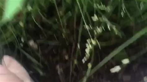 Pee In Lake Free Sex Video RedTube