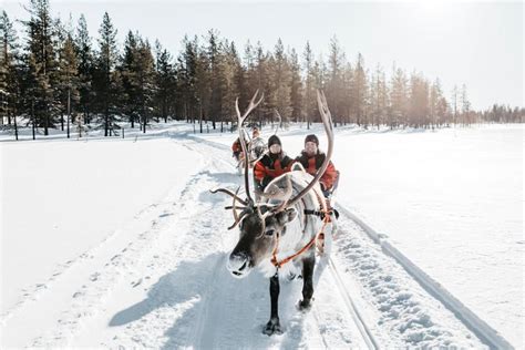 The Ultimate Lapland Travel Guide How To Travel What To Do In