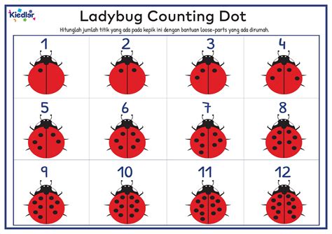 Lady Bug Counting Dot Kiedler