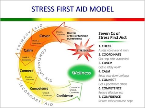 NSG501 Exam 3 Stress Flashcards Quizlet