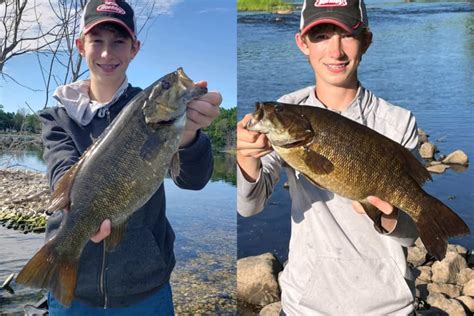 5 Green Bay Smallmouth Bass Lures Sturgeon Bay Door County