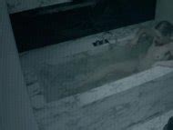 Tova Magnusson Nude Pics Page