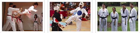 Download Taekwondo | Transparent PNG Download | SeekPNG