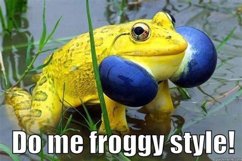 Do Me Froggy Style Quickmeme