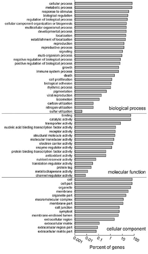 Histogram Presentation Of Gene Ontology Go Classification The Download Scientific Diagram