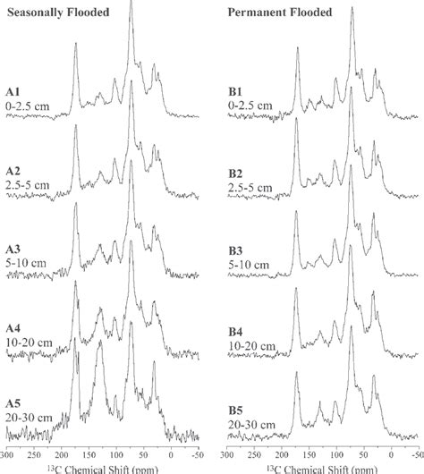 The 13 C Variable Amplitude Cross Polarization And Magic Angle Spinning