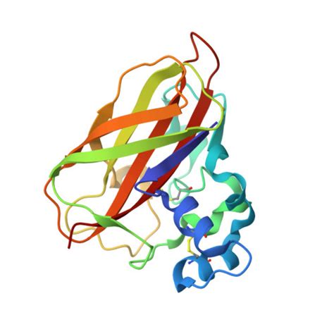 RCSB PDB 5FJQ Structural And Functional Analysis Of A Lytic