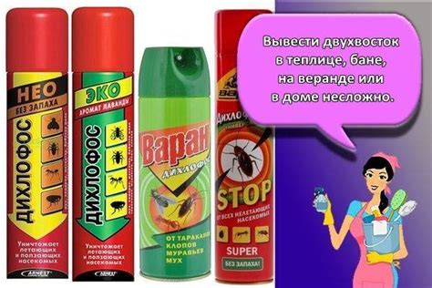 Как избавиться от двухвосток в доме: какое средство выбрать, причины ...
