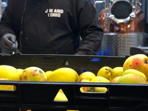 Our approach to sustainable ingredients – Jim & Tonic