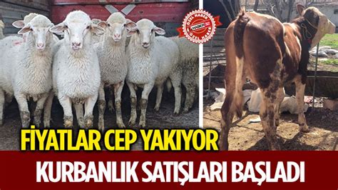 Isparta da En Düşük Kurban Hissesi 20 Bin Liradan Başlıyor