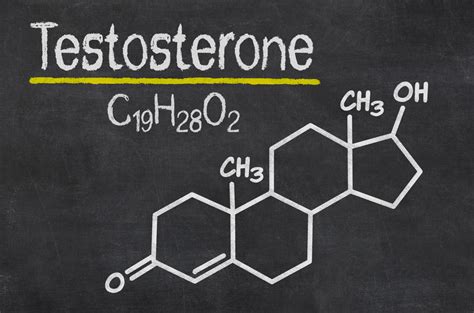 4 Foods Proven To Boost Testosterone Sex Drive Nutrition And Fitness