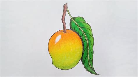 Mango Pencil Drawing: A Comprehensive Guide for Beginners