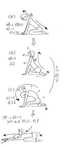 正坐でやるヨガ呼吸体操・その2 正坐前屈ネコ 心身爽快ヨガノート 楽天ブログ