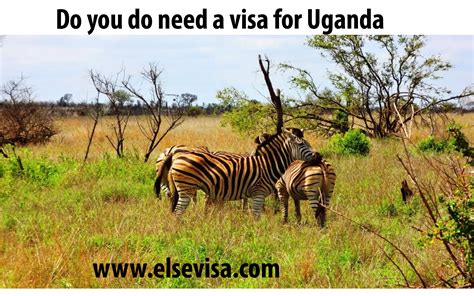 Uganda Visa: The simplest process to appeal for a visa