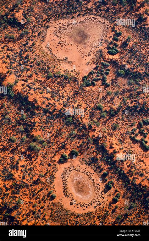 Desert landscape, outback Australia Stock Photo - Alamy