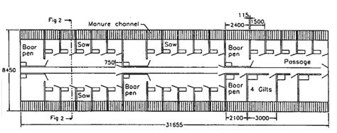 Housing Requirements Of Pigs AgriOrbit