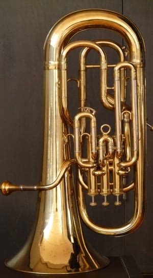 3 royalty free french horns images | Peakpx