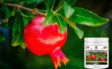 Sansar Agro® Npk For Pomegranate Growth 200 Gm Essential Npk