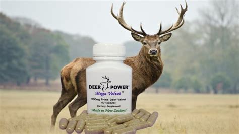 Deer Velvet Antler Mega 60 Capsules 500mg Deer Velvet Capsules New