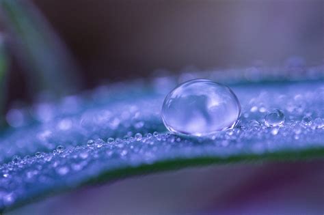 water, Drop, Macro, Nature, Macro, Zoom, Flowers, Gouttes, Pluie, Toile ...