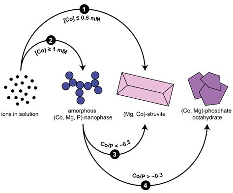 Struvite Structure