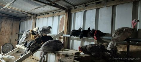 Ginger Spin Nude OnlyFans Leaks Fappening FappeningBook