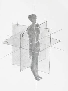 รูปภาพCoronal – เลือกดูภาพถ่ายสต็อก เวกเตอร์ และวิดีโอ6,581 | Adobe Stock 