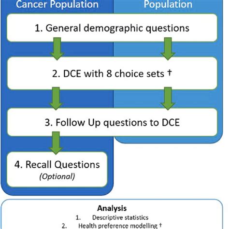 Schematic Overview Of The Survey Including Which Parts Each Cohort